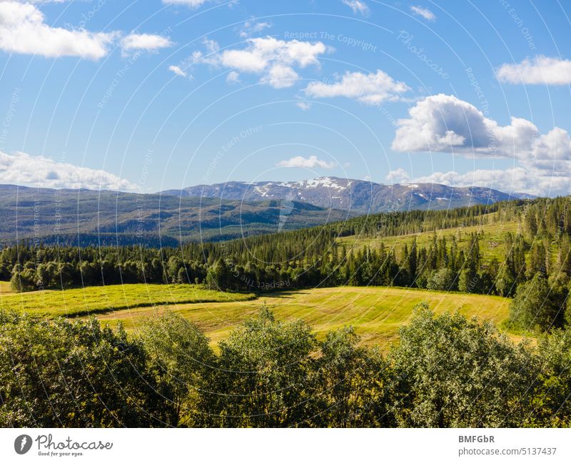 Drone aerial photo over meadows and forest landscape in Norway Landscape Nature Mountain Forest mountains Sky cloudy Meadow Grass Green Clouds Field no people