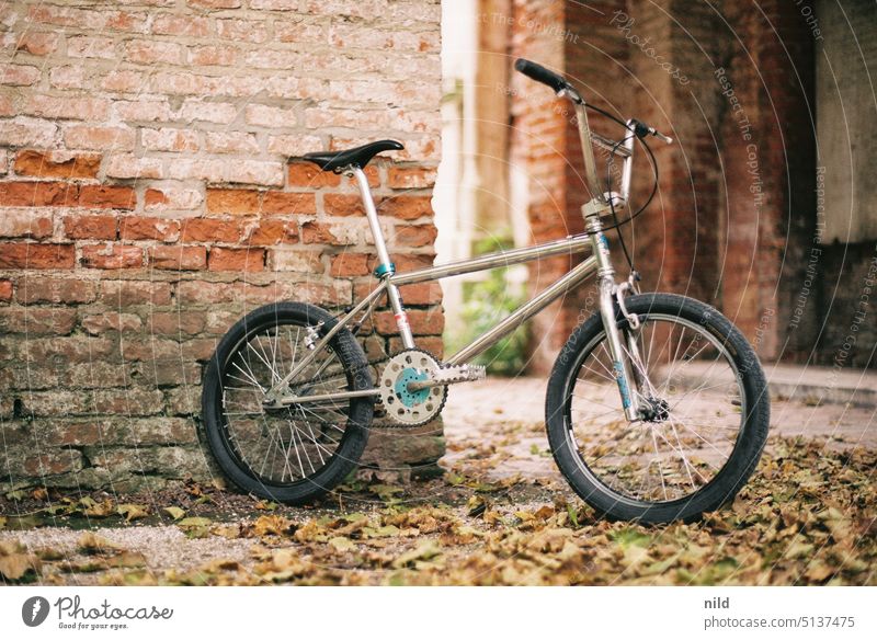 Vintage oldschool BMX in autumn park setting vintage Retro steel frame Lifestyle Means of transport Bicycle Leisure and hobbies Sports Colour photo Athletic