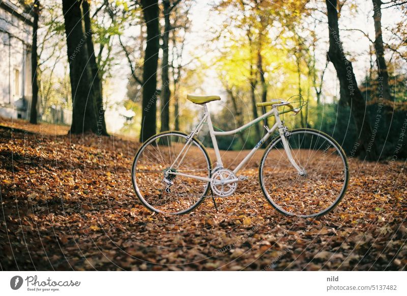 Vintage ladies road bike in autumn park, wide shot. Racing cycle vintage Retro steel frame Lifestyle Means of transport Bicycle Leisure and hobbies Sports