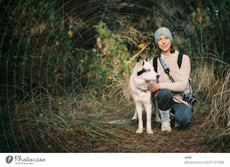 Forest pool with dog Dog dog portrait Pet Animal Animal portrait Colour photo Exterior shot Cute Day Looking Shallow depth of field Observe Love of animals