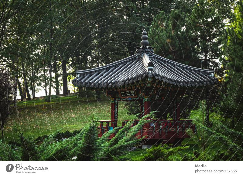 Small Japanese pagoda in green garden Pagoda Garden Bushes Tree grass Meadow Glade needles Roof Decoration Asia shingles Summer Landscape