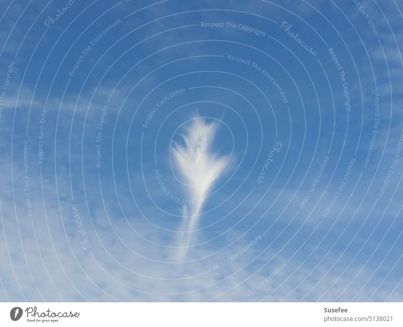 A cloud that looks like an angel Angel Sky Nature Weather Summer White Blue Deserted Environment Climate Air Copy Space Elements Beautiful weather Belief God