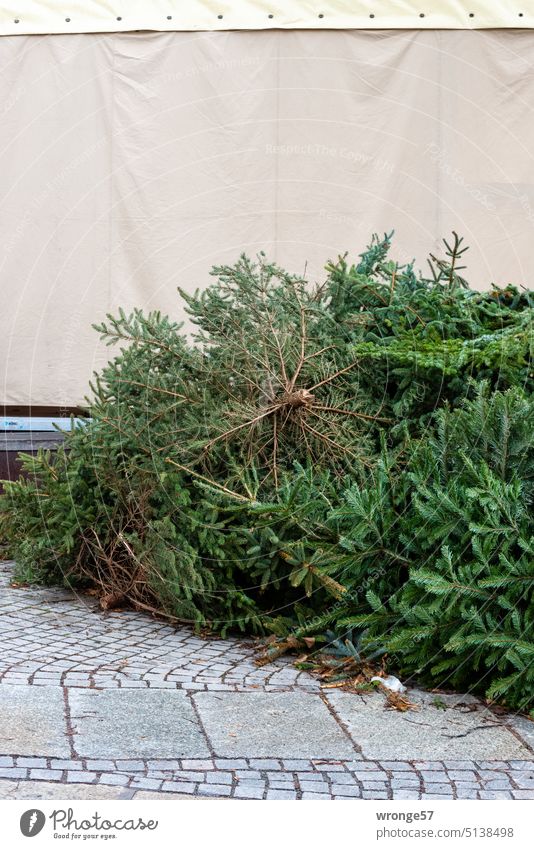 St. Knut | Christmas tree collection point Collection point Meeting place christmas trees filed disused Green Christmas & Advent fir tree Tradition knut