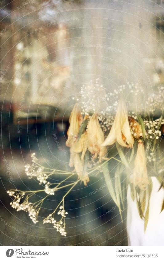 A withered bouquet of flowers behind a shop window, in front of reflections of the street Bouquet Shriveled Limp Yellow transient Faded Transience Dry Dried