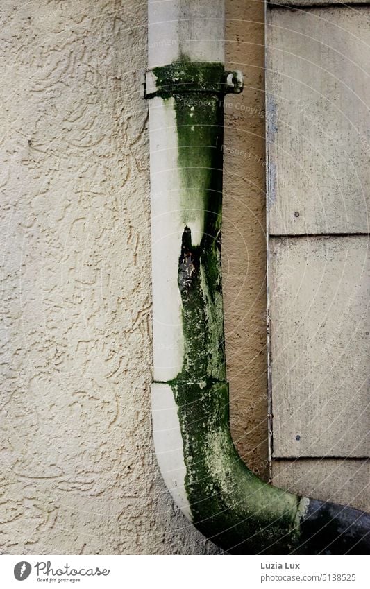 Downpipe with green patina downspout Rain gutter Old branch Patina resopal Facade Roughcast wall roughcast Beige Gray Green shape Brown dilapidated Gloomy