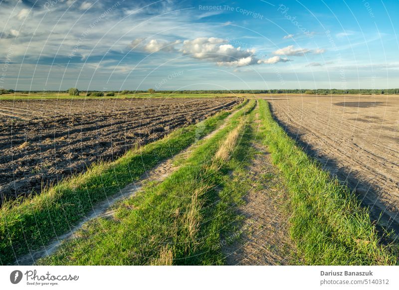 A long rural road between plowed fields, Czulczyce, Poland sky agriculture farm horizon dirt horizontal farmland ground blue country grass nature background