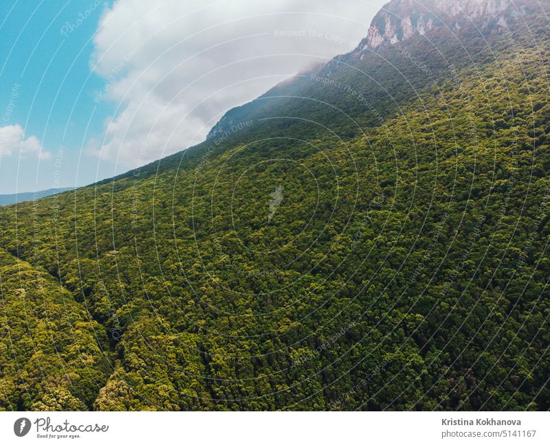 Aerial view. Flying over beautiful green forest on high mountainside in Sabaudia, Italy landscape. Drone flies at summer season. beach travel holiday ocean