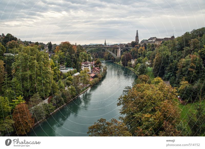 Bern Environment Nature Landscape Autumn Forest River Town Capital city Skyline Natural Sustainability Politics and state Berne Colour photo Multicoloured