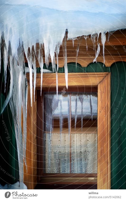 Icicles hang from the roof of a green wooden house and are reflected in the window Window Rustic Frost Winter winter chill Cold Frozen Quaint Curtain
