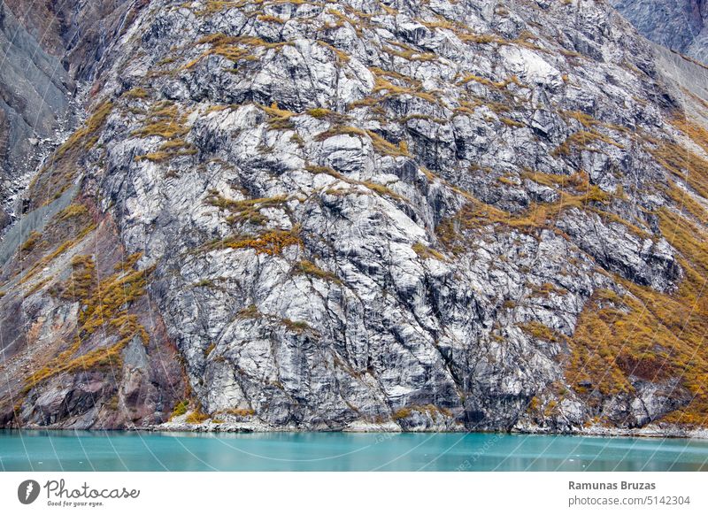 Glacier Bay National Park Steep Shore In Autumn nature view scenic abstract background water bay turquoise shore coast coastline outdoor travel hiking autumn