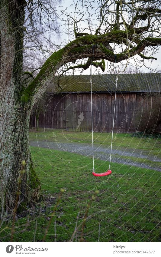 red child swing on old tree in countryside Swing child's swing game device Infancy Tree Rural Playing forsake sb./sth. Branch Grass To swing Barn Flake Deserted