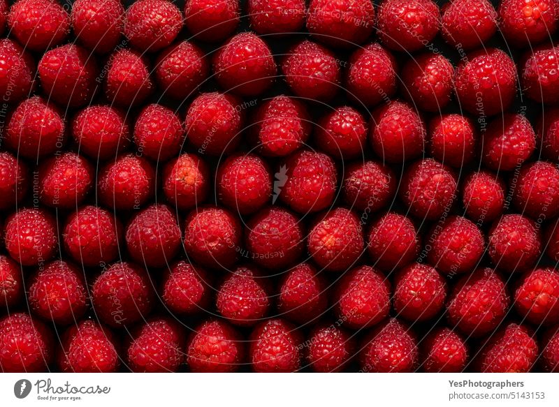 Raspberries above view, full frame background. Pile of fresh raspberries agriculture aligned backdrop bright close-up color colorful contrast delicious dessert