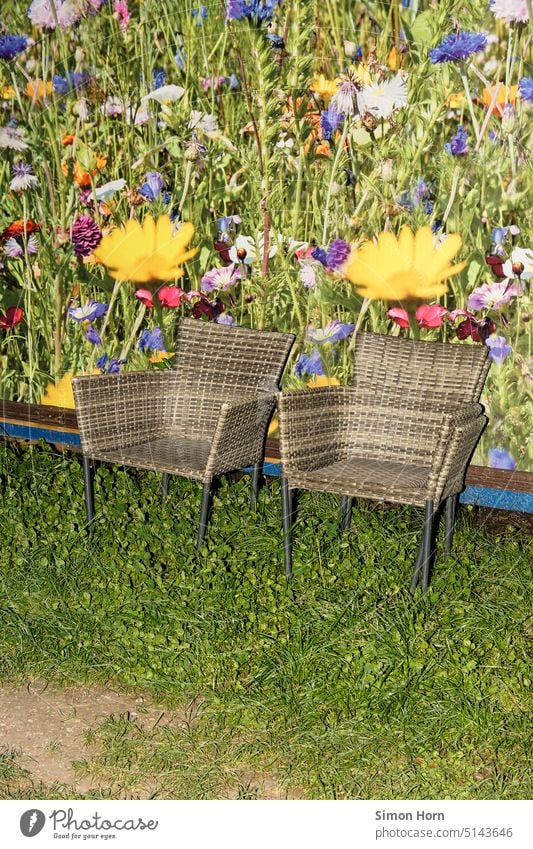 Armchair between real and imitation meadow Virtual Vicinity Meadow flowers Artificial Garden Imitate Spring Flower meadow image Grass Nature Green