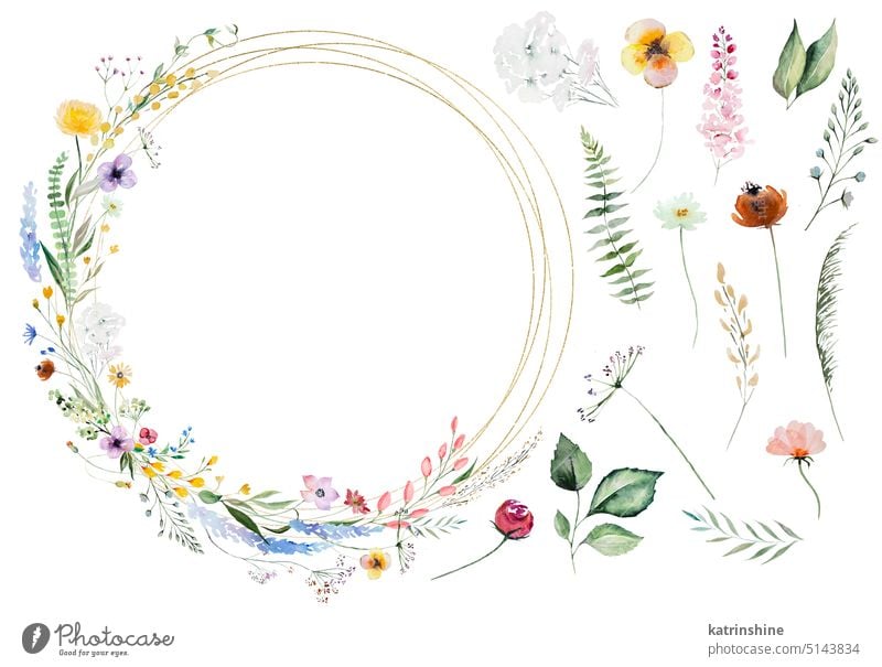Round Frame made of watercolor wildflowers and leaves, wedding and greeting illustration Birthday Botanical Colorful Decoration Drawing Element Foliage Garden