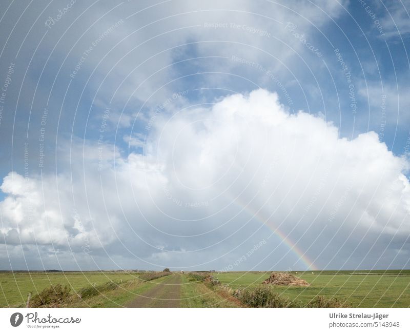 Ameland dirt road behind dike with rainbow and clouds off the beaten track Rainbow Dike white cloud Landscape Deserted Sky Exterior shot Field Clouds