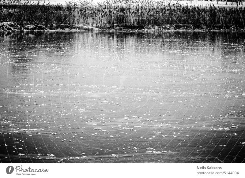 natural skating rink. river pond lake ice covered thin ice dangerous challenge defiance winter early winter no snow monochrome black and white shore coast bank