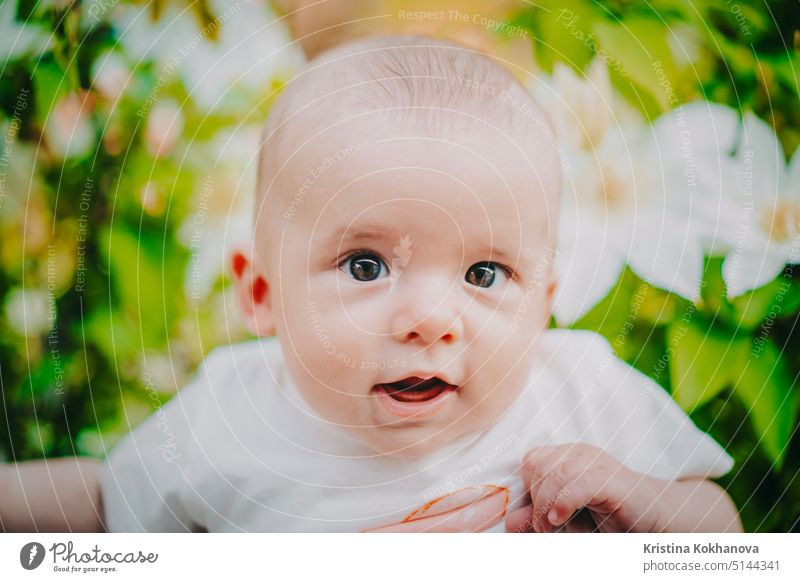 Beautiful portrait of little baby boy on flowers bush background. Child in spring blossom. Cute newborn son smiling. child happy childhood kid caucasian