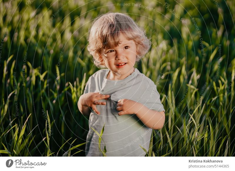 Portrait of curly kid standing in fresh green wheat field. Lovely toddler boy explores plants, nature in spring. Childhood, future, agriculture, ecology concept