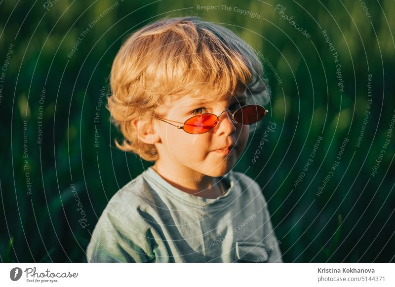 Funny curly hair baby boy in red sunglasses standing in fresh green wheat field. Lovely toddler child explores plants, nature in spring. Childhood, children fashion style concept