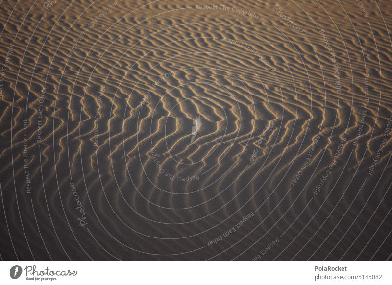 #A0# Golden Sands Sandy beach Desert shape Formation Symmetry sandy Grain of sand Sanddrift desert landscape desert sand Sunset