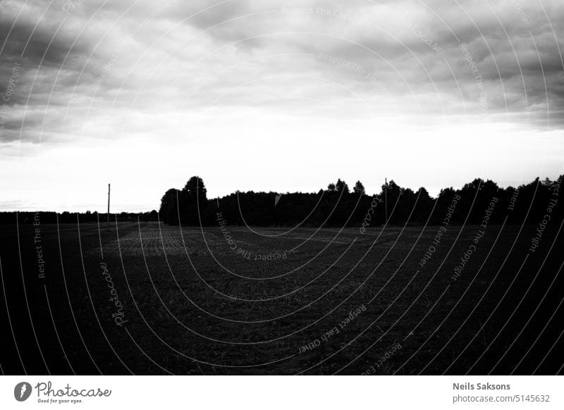meadow under cloudy sky dark Black & white photo Monochrome Sky Clouds White Contrast Landscape Deserted Environment Gloomy Forest Field Meadow Bad weather Gray