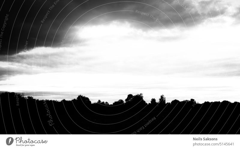 silhouette of forest under dark sky. Simple landscape. black and white simple landscape background shapes lines dramatic vignette structure harsh