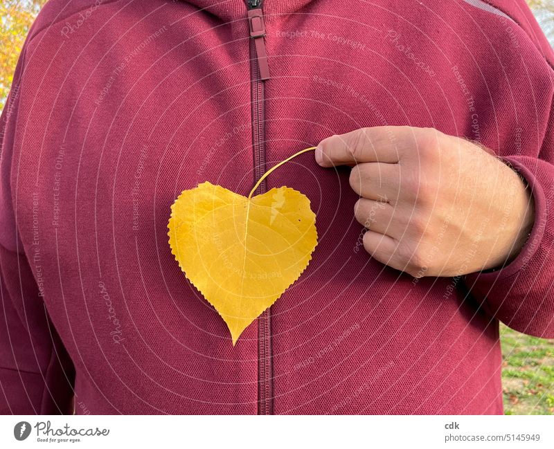 For more cordiality in togetherness. | a man holds a yellow leaf in the shape of a heart in front of his chest. Heart sweetheart autumn leaf Heart shape leaf