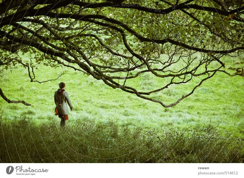 stroll Human being Feminine Woman Adults 1 Tree Discover To go for a walk Mystic Park Branch Green Dress Going Colour photo Exterior shot Copy Space bottom Day