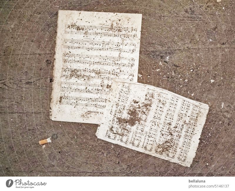 Sheet music vs. cigarette butts Music Musical notes Concert Art Close-up Paper Deserted Interior shot Leisure and hobbies Classical Cigarette Cigarette Butt