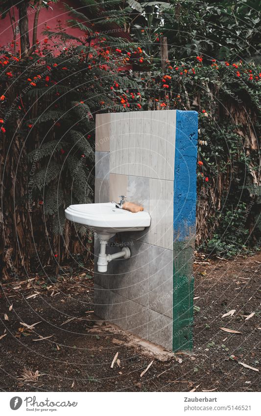 Free standing washbasin on a wall as fragmentary bath on a farm, behind it bushes Sink Hand Hand basin Wash Sponge Tap Improvise Laundry neat Bathroom Healthy