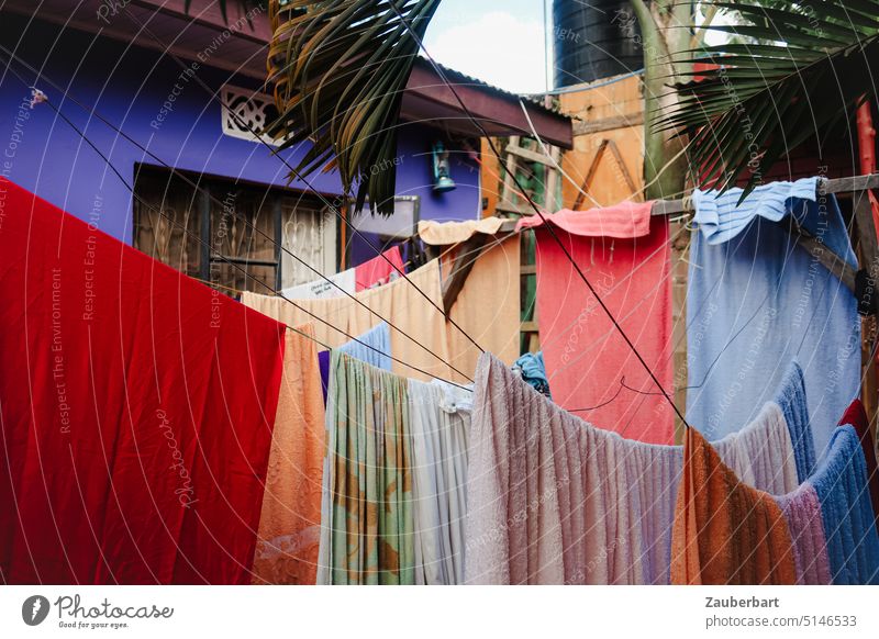 Colorful laundry on clotheslines in front of colorful house walls and palm fronds Textiles garments Housekeeping Fresh Household Hang up Dry Washing trochnen