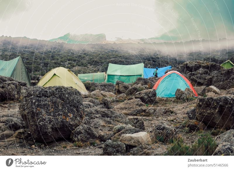 Colorful tents between boulders in clouds and fog at Kilimanjaro, Shira Camp 2 Tent variegated Rock rock Boulders Fog Clouds Hiking trekking Mountaineering camp