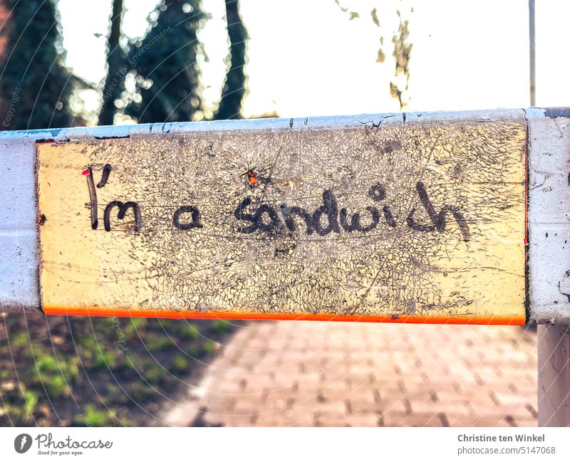 unnecessary | smearings in public space I'm a sandwich Text Graffiti Daub Youth culture Trashy typography Typography Letters (alphabet) Shallow depth of field