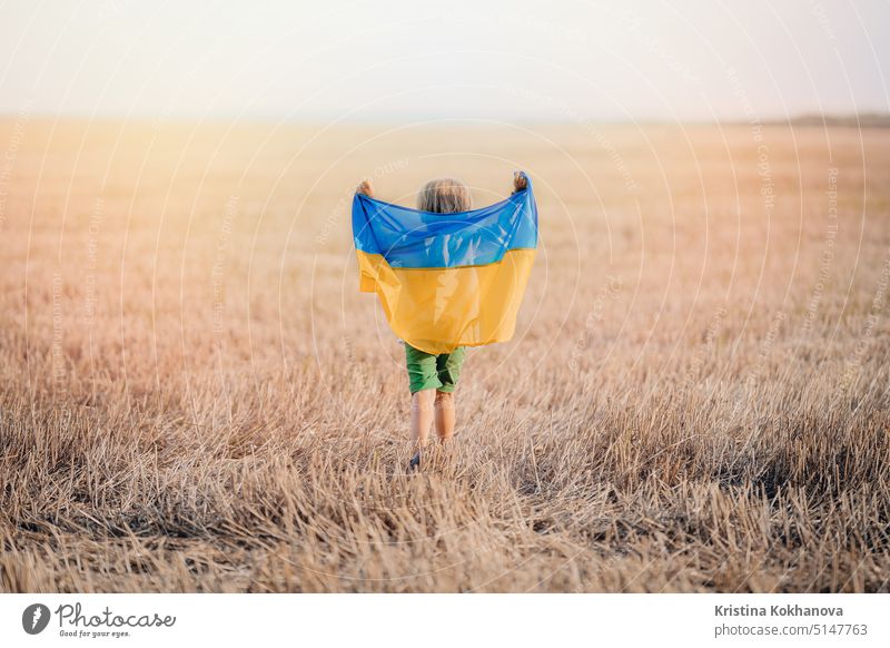 Happy little boy - Ukrainian patriot child with national flag in field after collection wheat, open area. Ukraine, peace, independence, freedom, win in war.