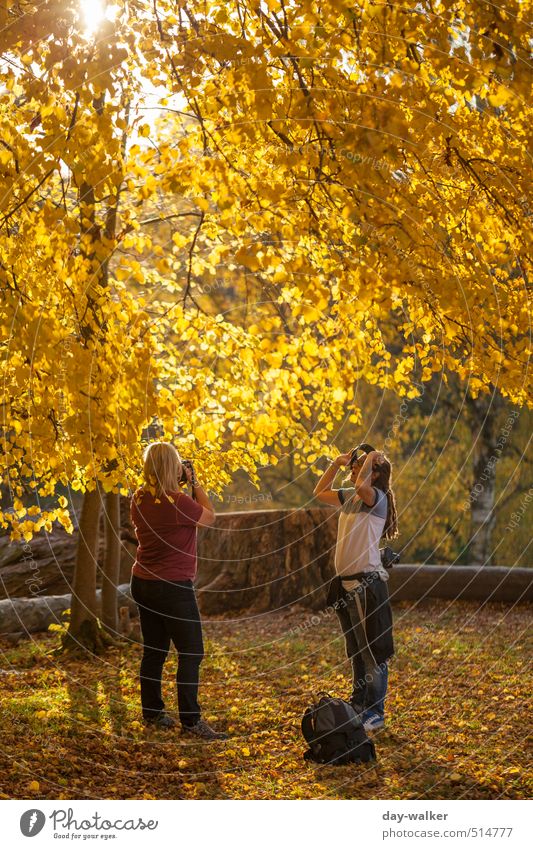Lake Bear 2013 | All Gold Human being Feminine Woman Adults Friendship 30 - 45 years Nature Plant Autumn Beautiful weather Tree Park Meadow Yellow Red White
