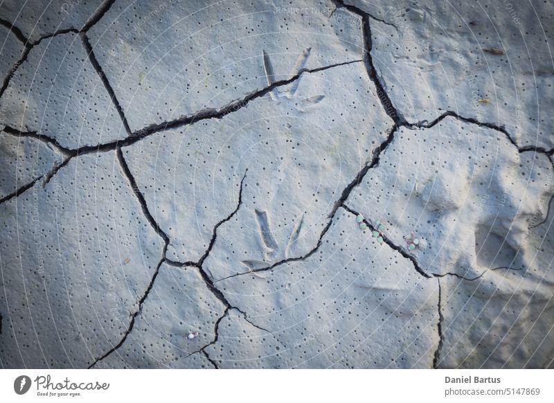 Cracked earth in the top view for the background or graphic design with the concept of drought and death. abstract arid backdrop barren broken brown clay