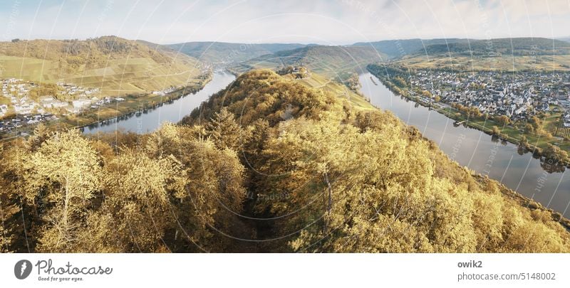 Moselle loop near Pünderich River Vineyard Nature Moselle region Landscape Exterior shot Rhineland-Palatinate Moselle valley Idyll Mosel (wine-growing area)