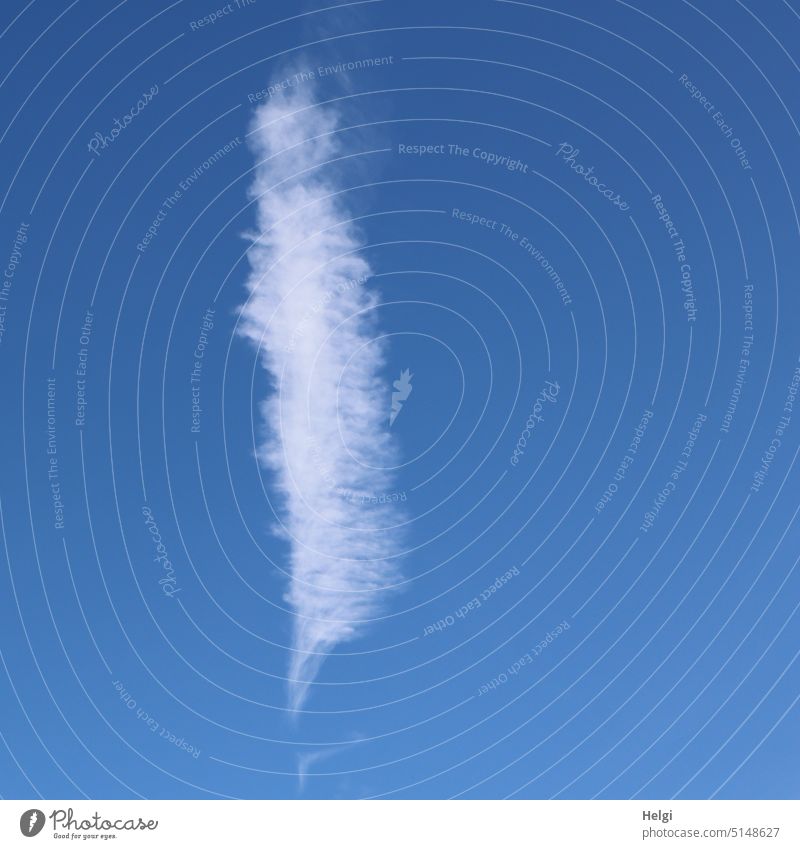 Feather cloud against blue sky Spring Cloud Sky Weather Beautiful weather Feathered Nature Exterior shot Deserted Day Sunlight Blue sky White Exceptional