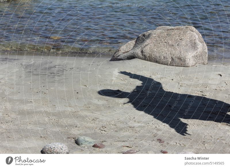 child shadow on wet beach sand with stones and rocks Shadow Shadow play Child Beach Water Swell Sand Rock Wet Damp long shadow Afternoon footprints rinsing seam