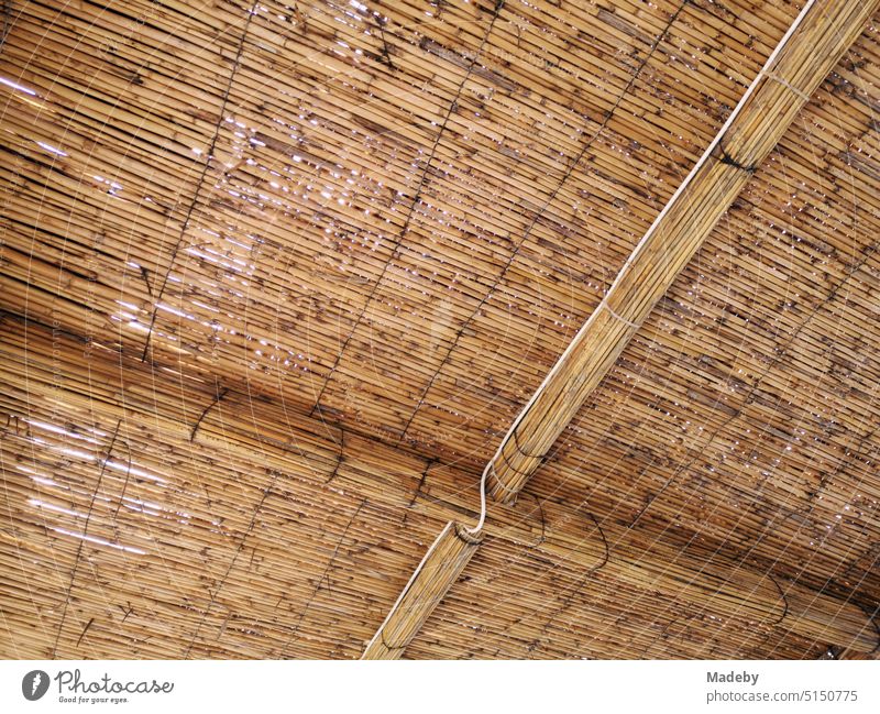 Roof of bast mats and wicker in beige and natural colors in summer on the beach of Ayvalik in the province of Balikesir on the Aegean Sea in Turkey basketwork