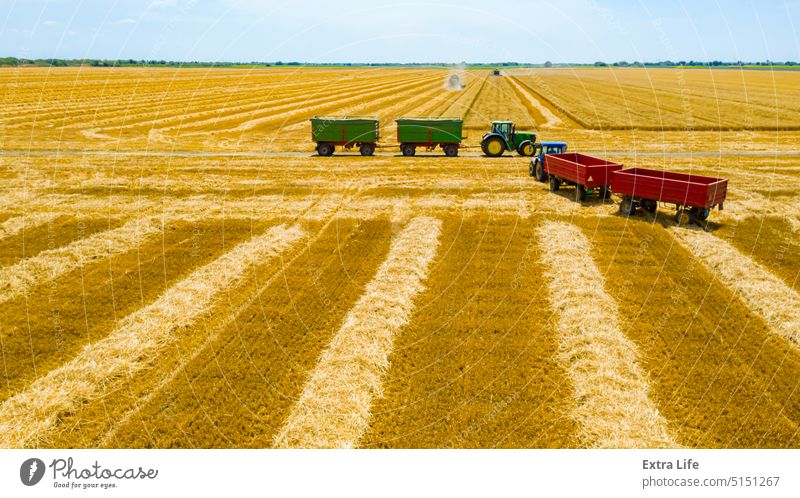 Above view on harvest season at agricultural plot, combine harvesting wheat, tractor drag trailers Aerial Agriculture Cereal Combine Country Crop Cultivation