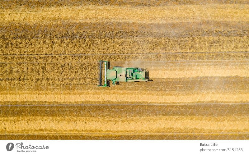 Above view on combine, harvester machine, harvest ripe cereal Aerial Agricultural Agriculture Cereal Combine Country Countryside Crop Cultivated Cultivation Cut