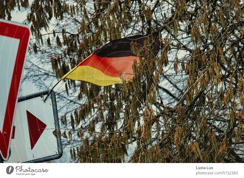 German flag in the wind Wind Blow black red gold stormy Red Road sign Direction Twigs and branches German Flag Ensign Germany Politics and state Judder