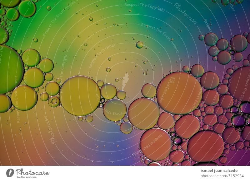 multi colored oil circles on the water, colorful wallpaper circles pattern shapes sphere drop drops colors multicolored abstract textured background backgrounds