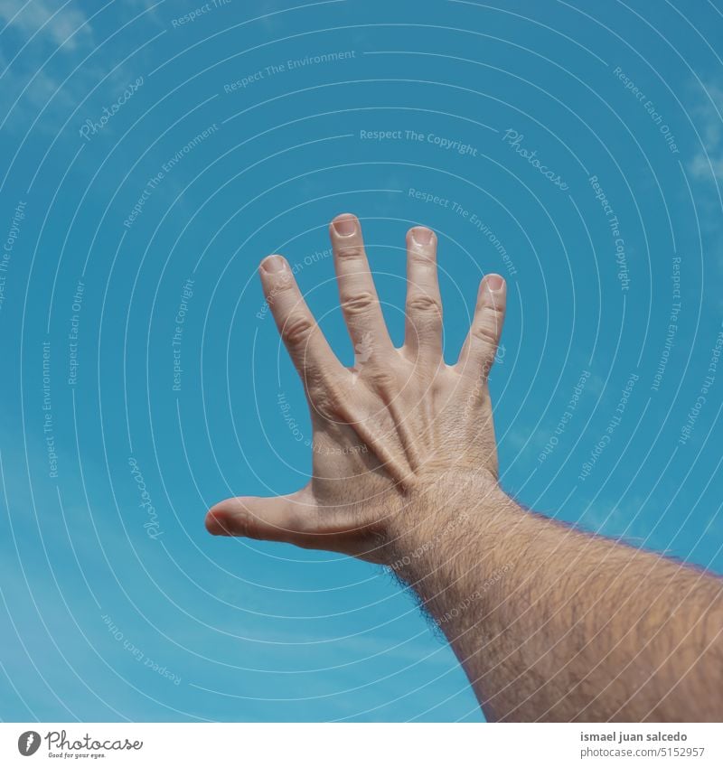 hand up gesturing in the sky feeling free arm fingers skin palm body part hand raised arm raised blue sky sun sunlight touching reaching pointing gesture
