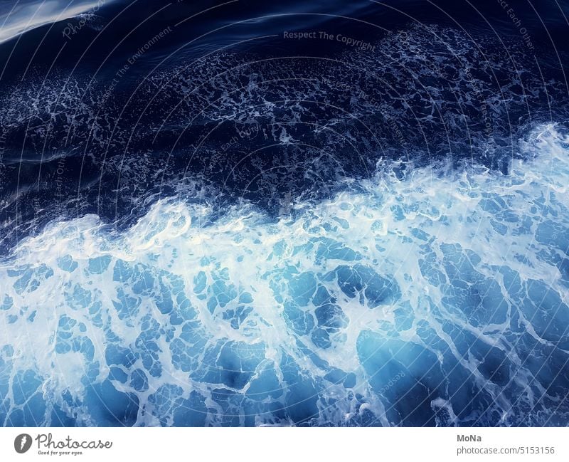swell Ocean Water Waves Swell Planet Earth Environment Nature Contrast change Dynamics Movement element Future Exterior shot Dark Bright Pattern travel