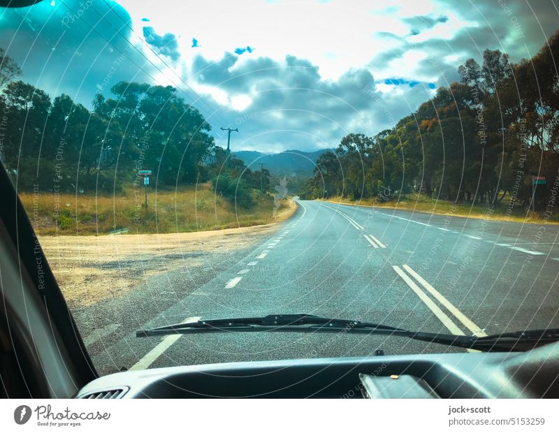 Drive on Tasmanian road through a lot of nature towards the sky Street Traffic infrastructure Nature FRontwheel dashboard Sky Clouds Landscape Deciduous tree