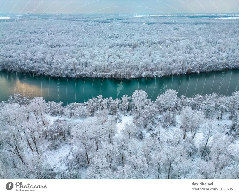Winter landscape with the river Rhine at Brühl. panorama panoramic aerial view drone plane tourism park travel outdoor flight altrein plant bush tree forest