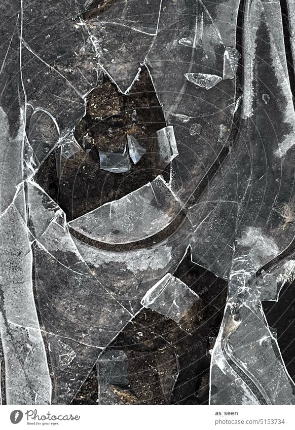 Black ice chips Ice Frost Frozen Puddle ice floes Winter Cold Deserted Exterior shot Water Environment Abstract Structures and shapes Black & white photo
