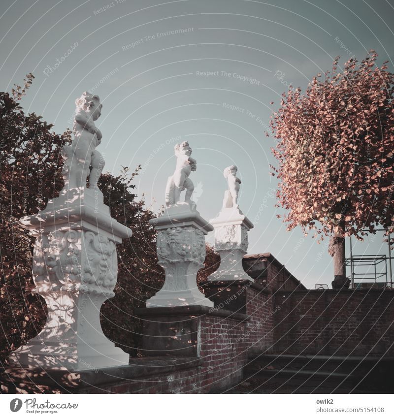 Parade of putti Baroque omitted Playing Baroque garden Idyll Historic Peaceful Bushes Twilight Evening sun Staircase stair treads Garden Sculptures Colour photo